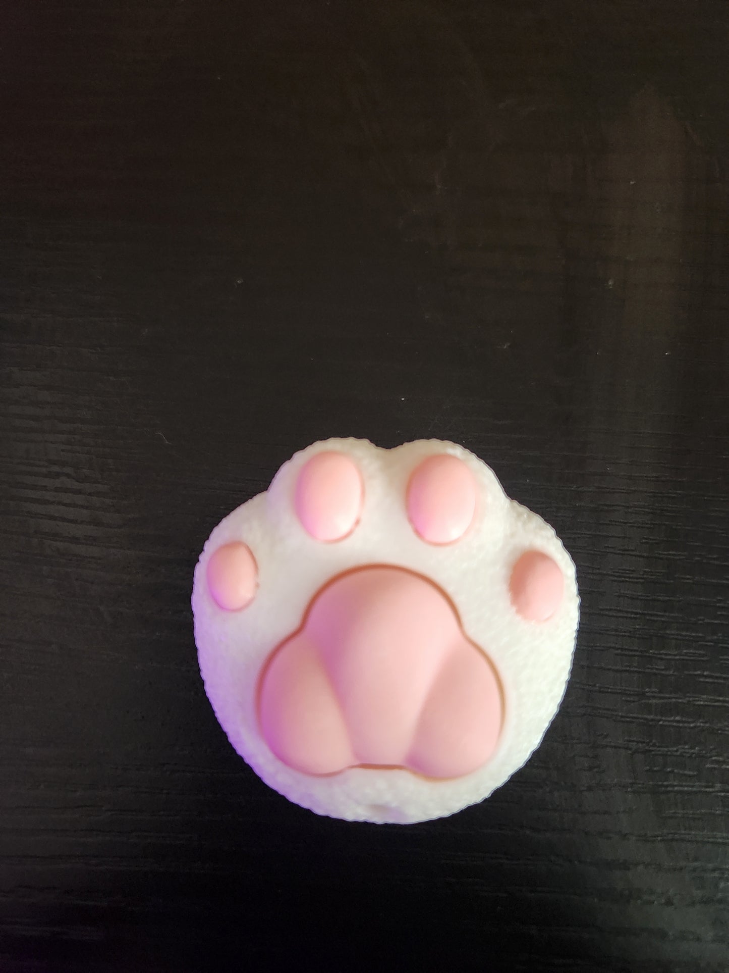 3D Printed Paw Print Fidget Clicker Keychain – Cute Cat Paw Stress Toy