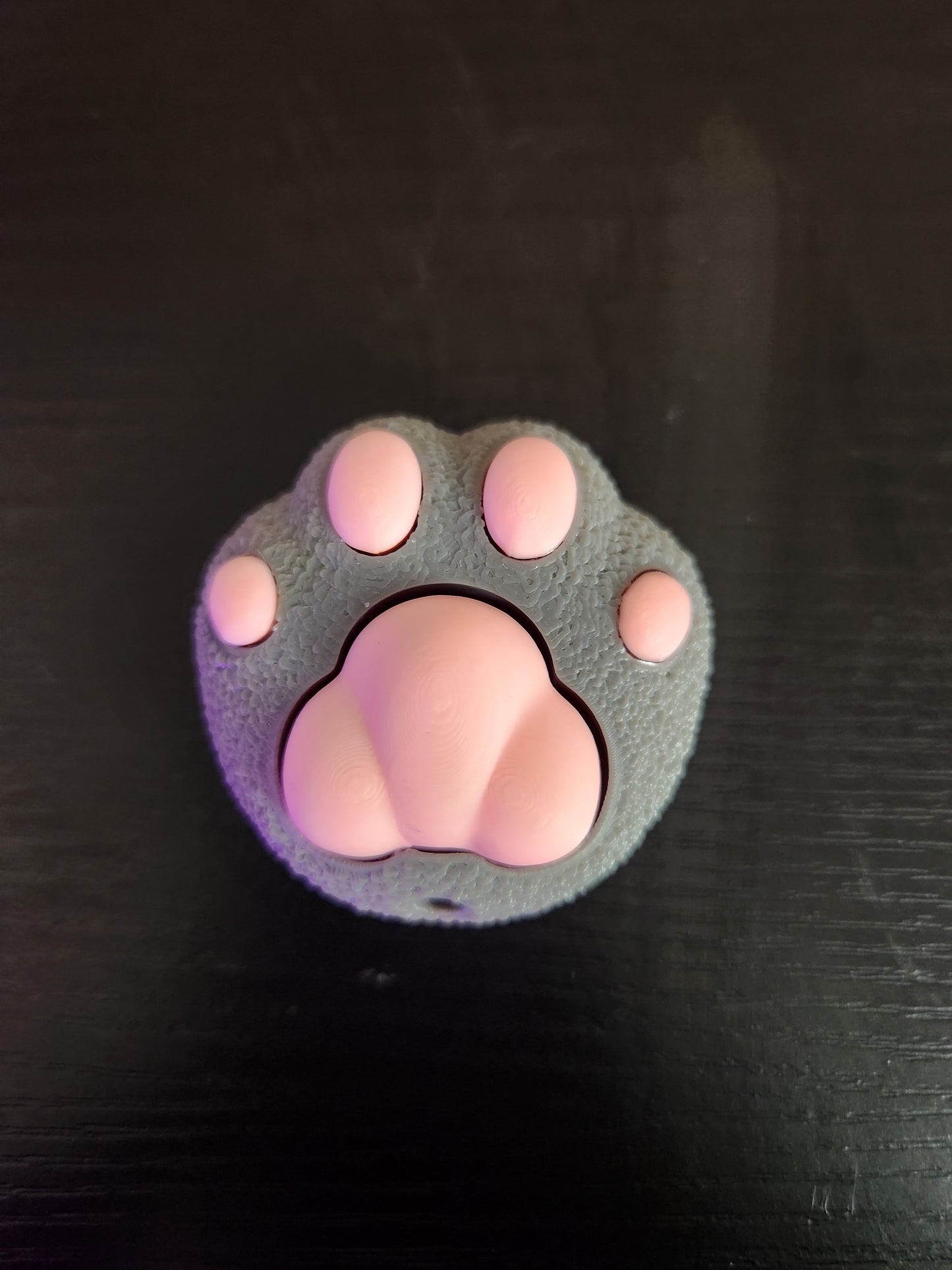 3D Printed Paw Print Fidget Clicker Keychain – Cute Cat Paw Stress Toy